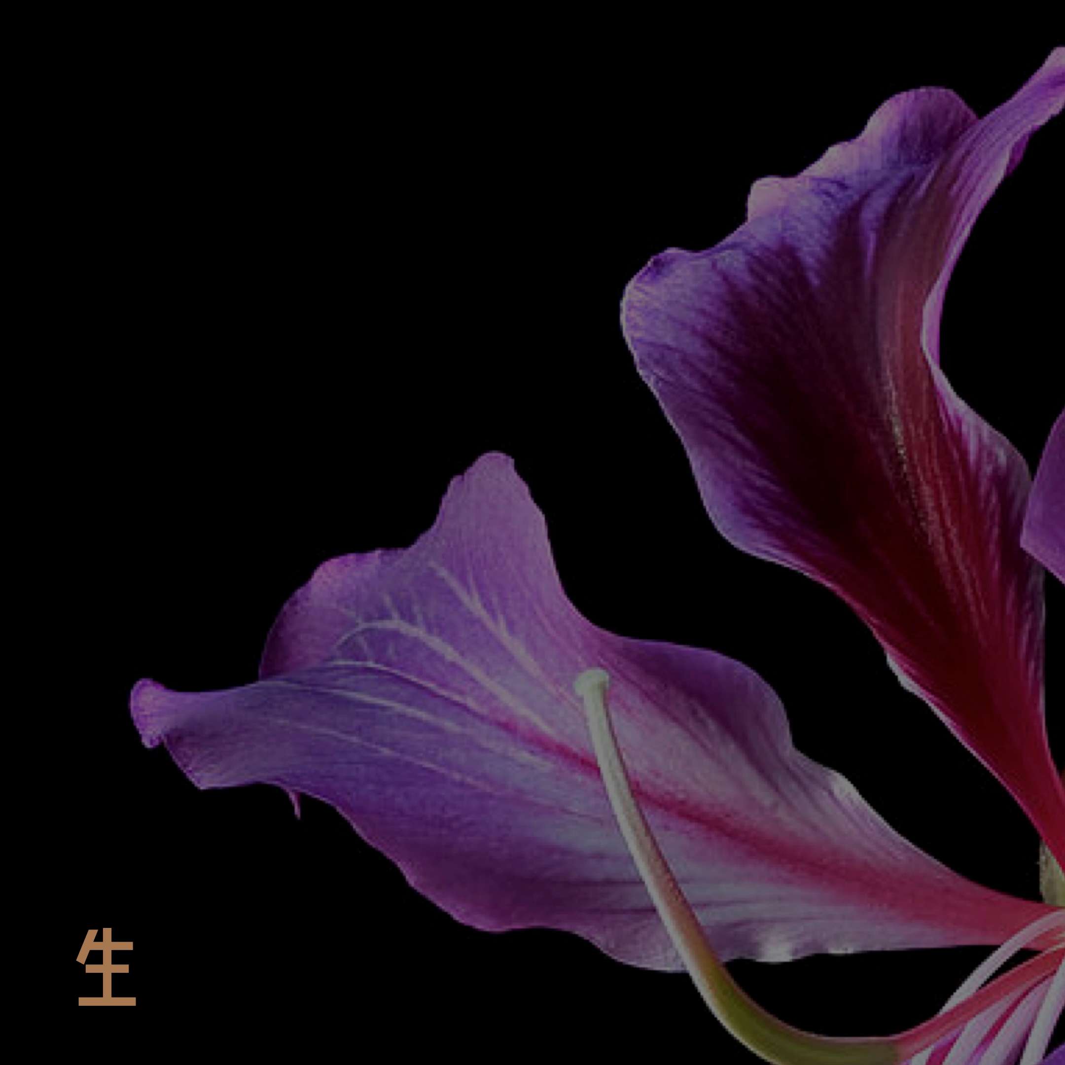 Slide 2