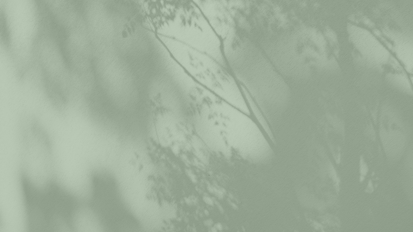 Brand Cover