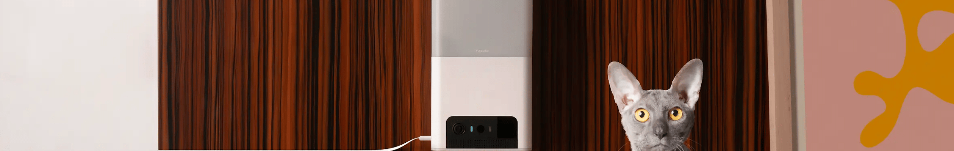 Brand Cover