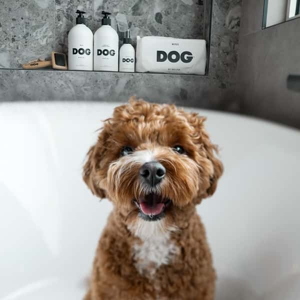 Shop Dog By Dr. Lisa wholesale