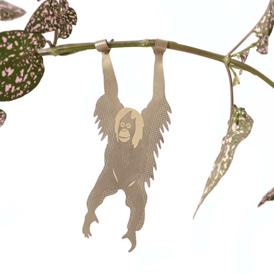 Plant Animal - Orangutan image