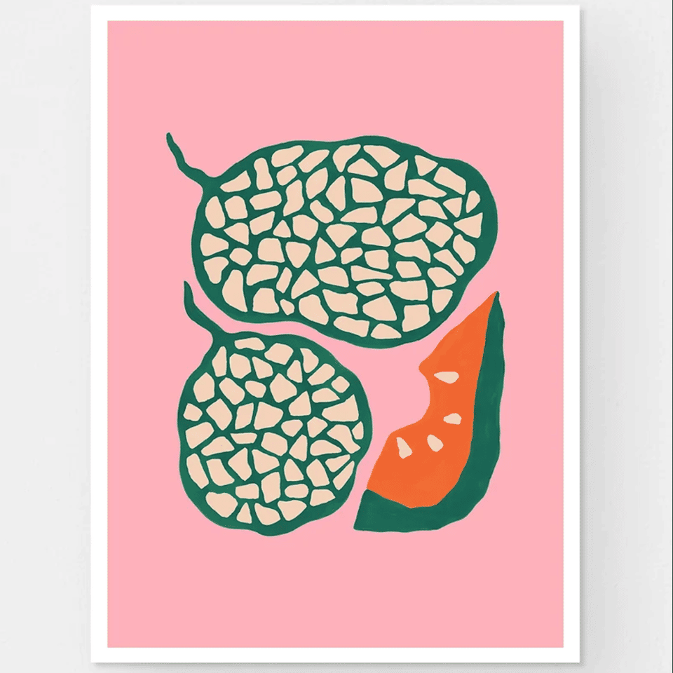 Rockmelon – fine art print image