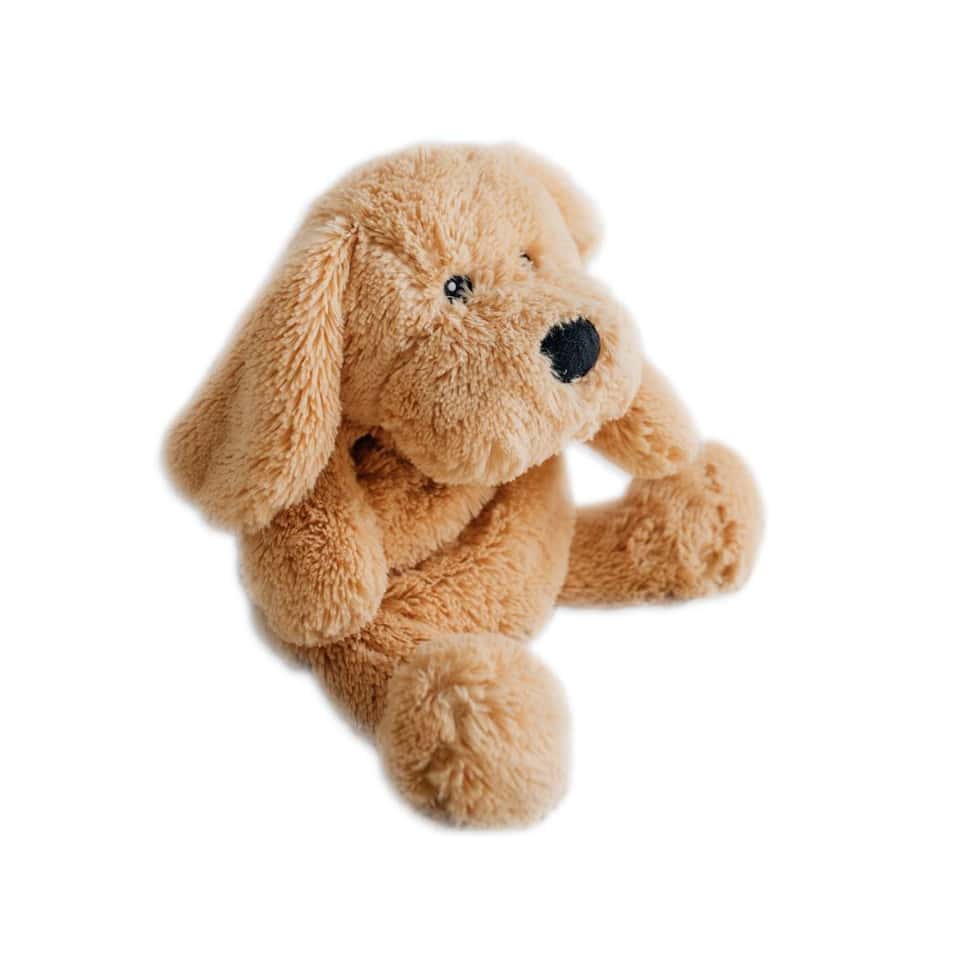 Charlie The Weighted Puppy Dog Toy image
