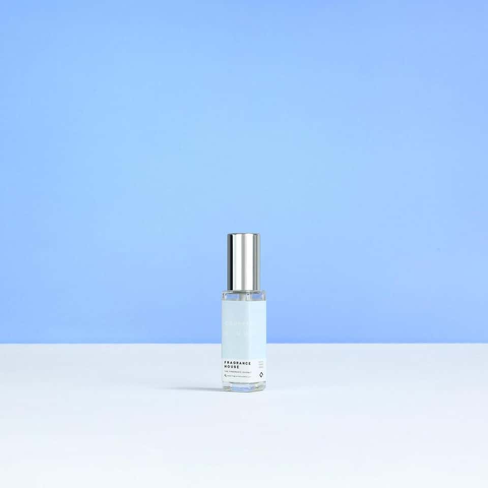 Mini Eau de Parfum | Dandelion & Musk |10ml image