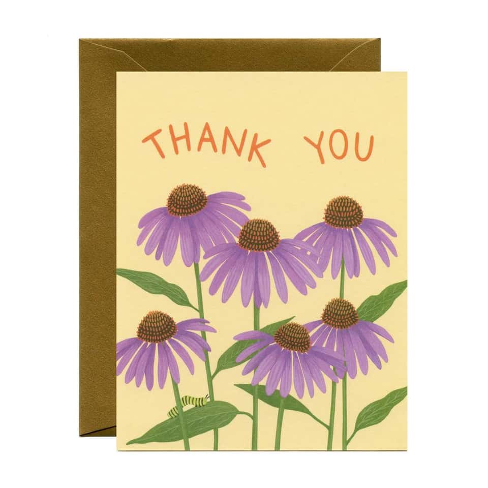 Coneflower Thank You Card image