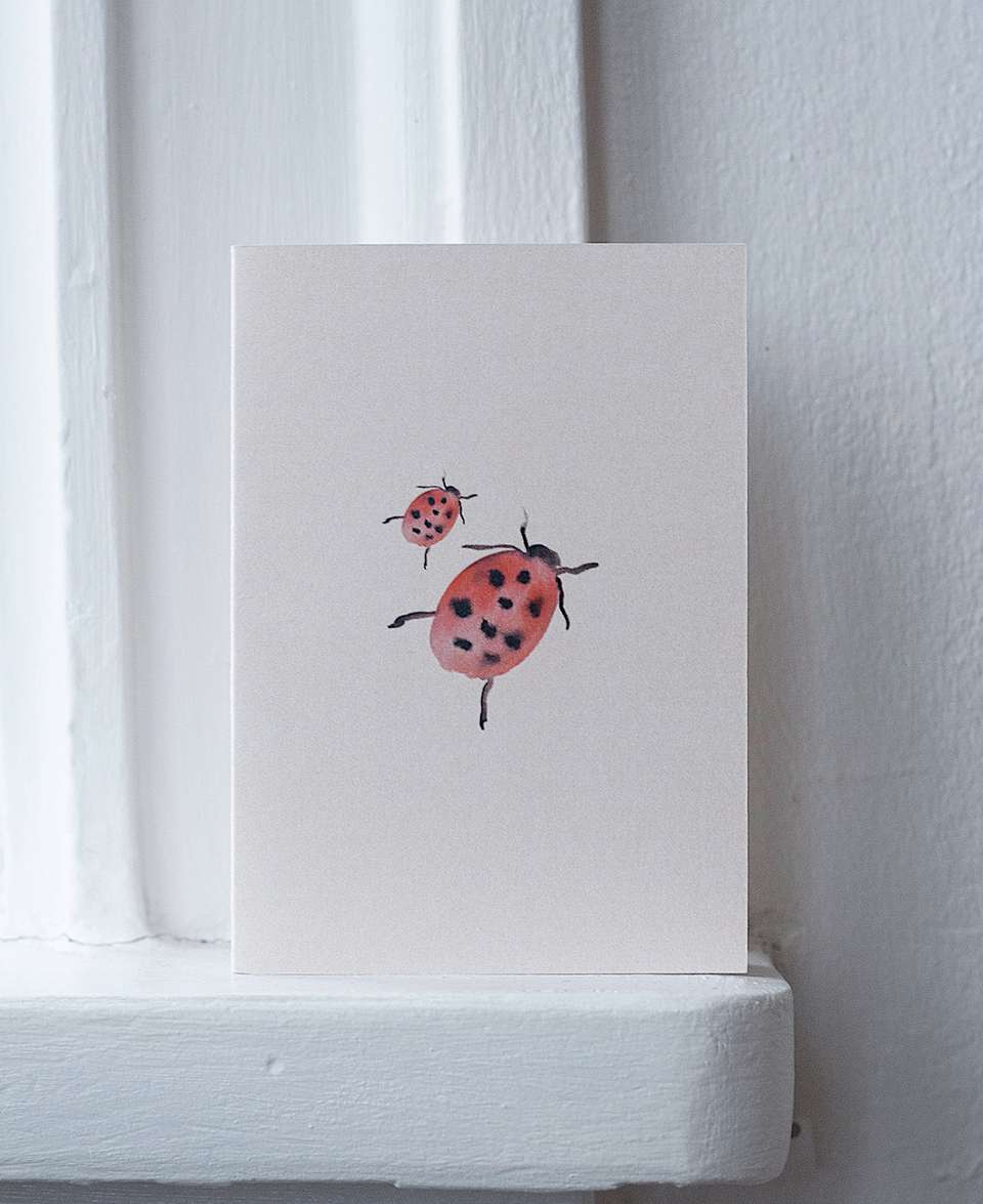 Greeting Card – Ladybug (7.4 X 10.5 Cm) image