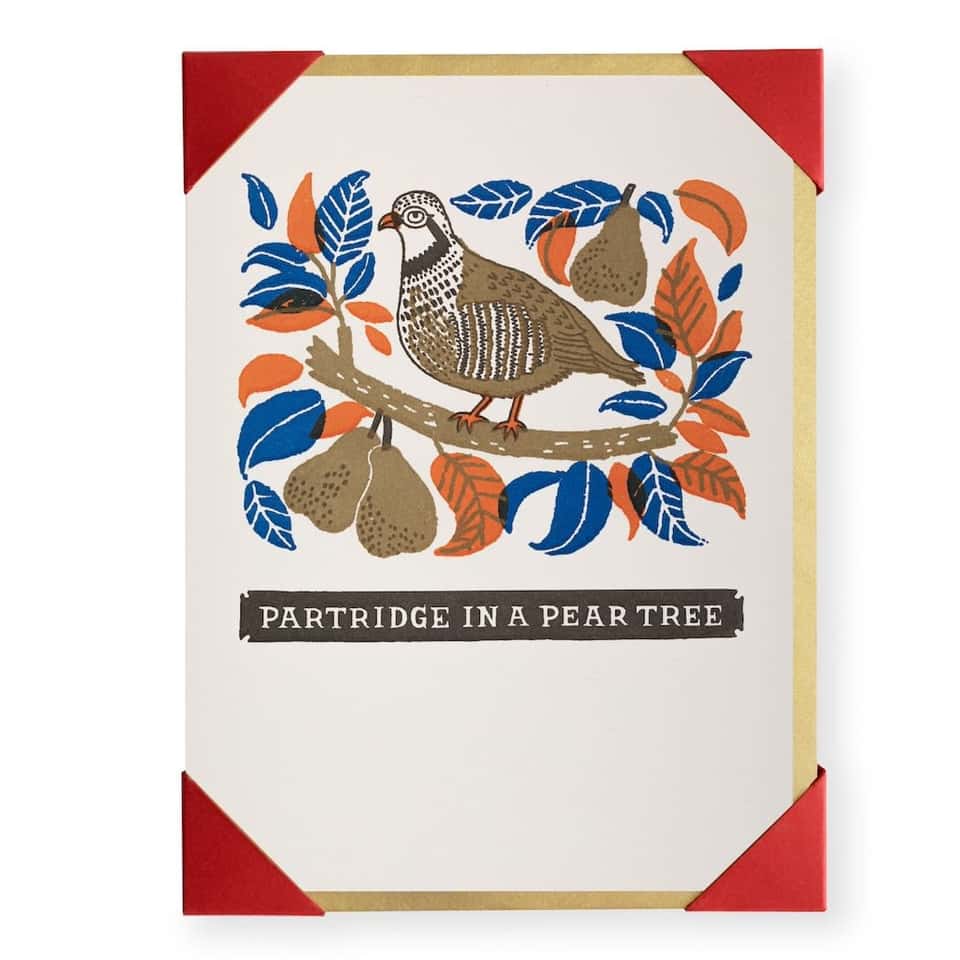 Partridge In A Pear Tree (Pack of 5) image