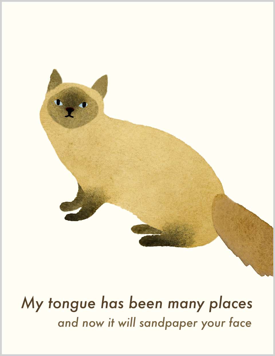 Cat Birthday Card:  Sandpaper image