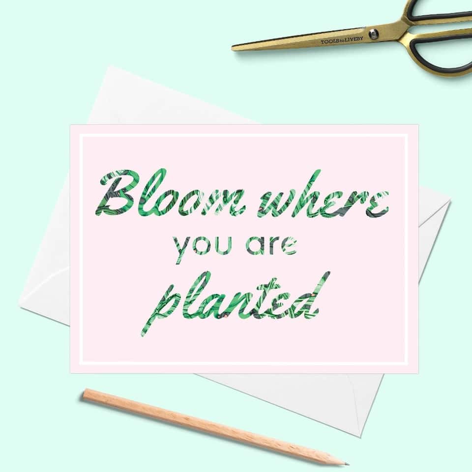 Bloom Where You Are Planted Greeting Card image